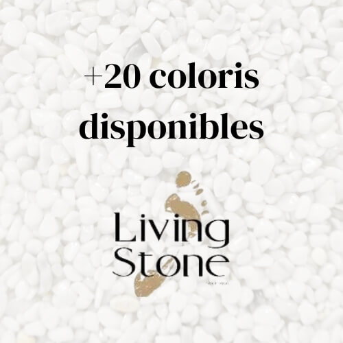 +20 coloris disponibles