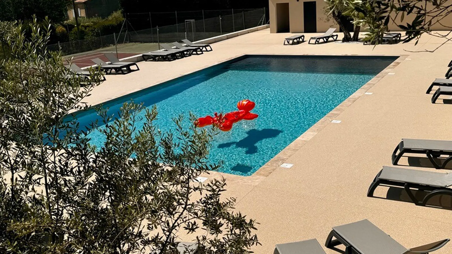 livingstone-moquette-pierre-piscine